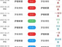 开云体育中国官网-挪威队在预选赛中惊险晋级下一轮比赛