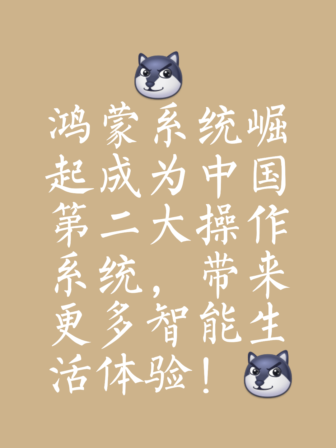 小将崭露头角，杭州绿城逐渐崛起成为黑马的简单介绍