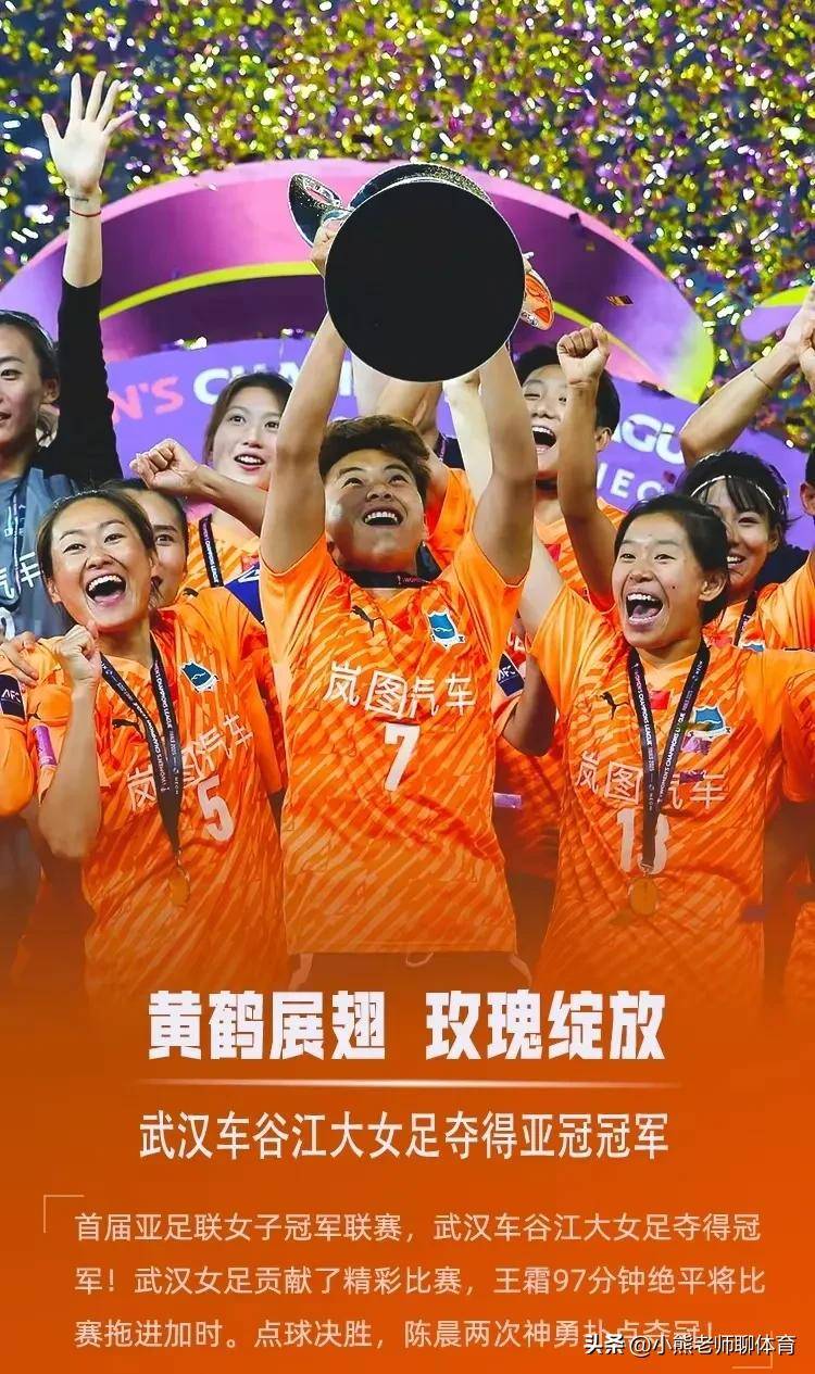 包含无所畏惧：亚洲球队在世界舞台上的无限热情的词条